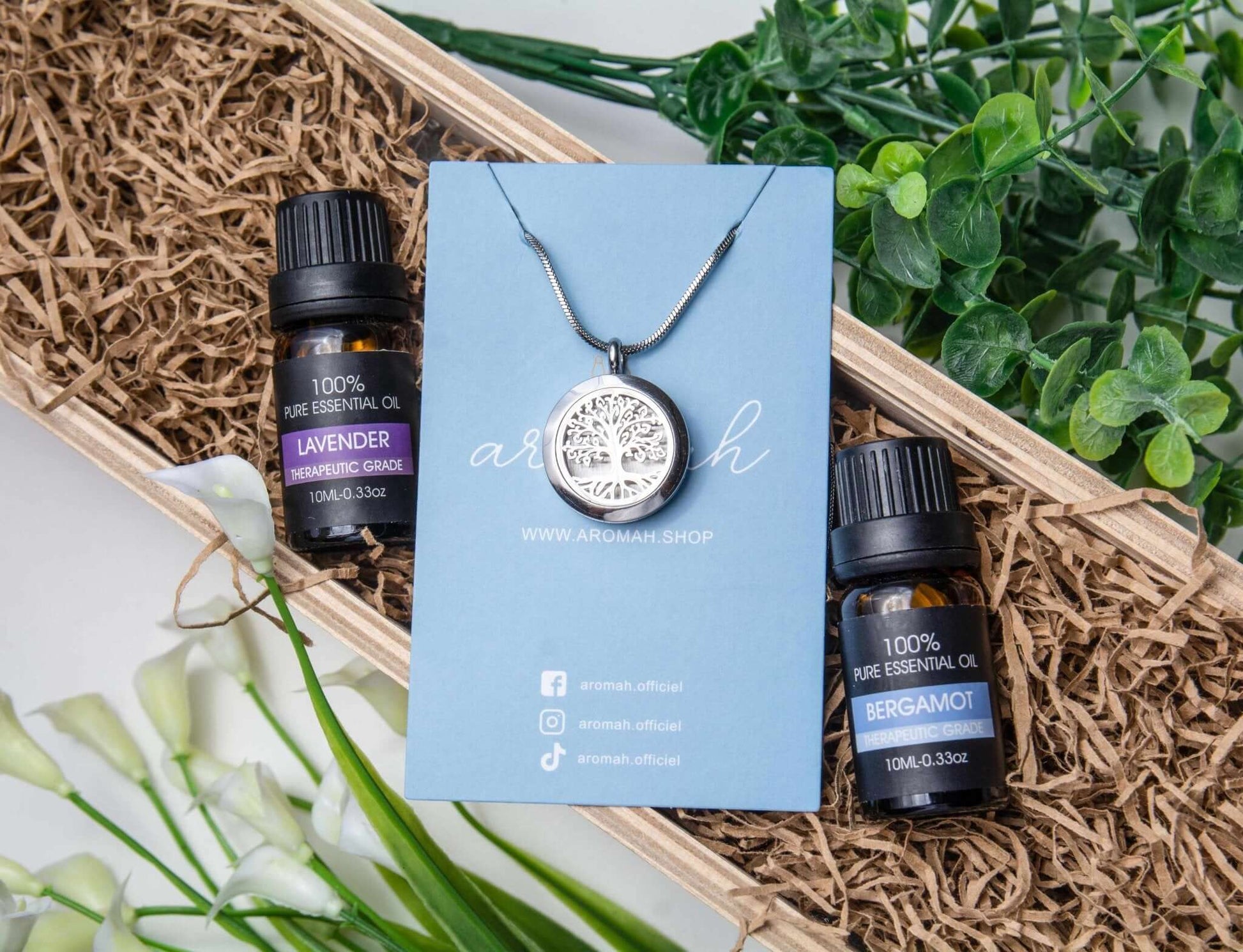 Kit Bien-Être Aromah avec collier en acier inoxydable, duo d'huiles essentielles, et emballage élégant