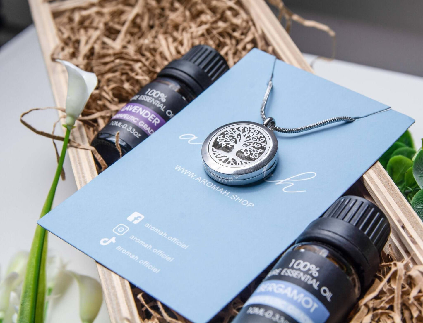 Kit Bien-Être Aromah avec collier en acier inoxydable, duo d'huiles essentielles, et emballage élégant