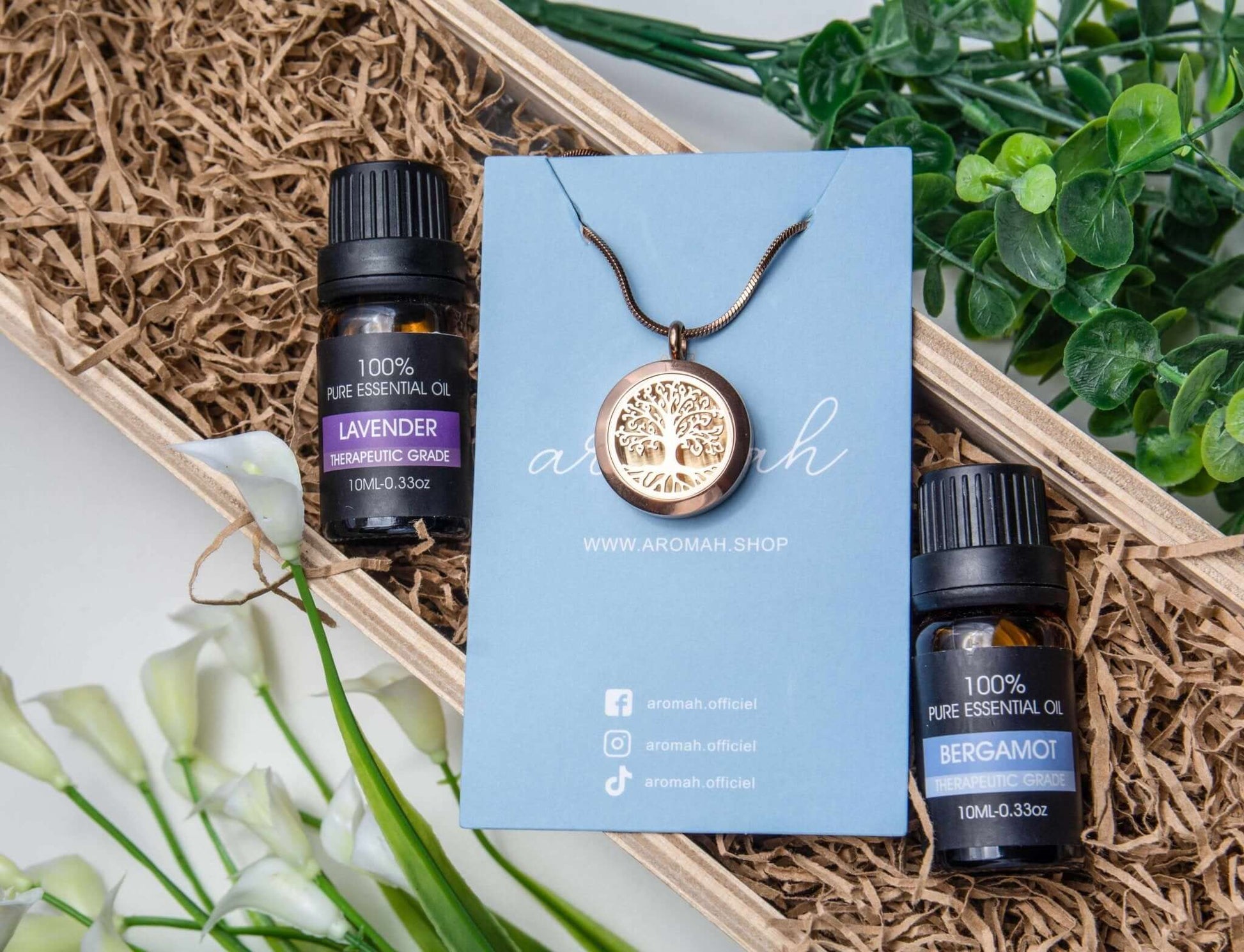 Kit Bien-Être Aromah avec collier en acier inoxydable, duo d'huiles essentielles, et emballage élégant